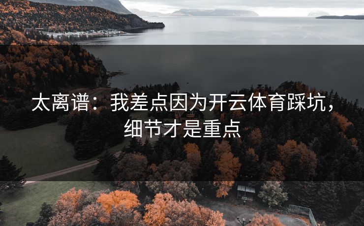 太离谱：我差点因为开云体育踩坑，细节才是重点